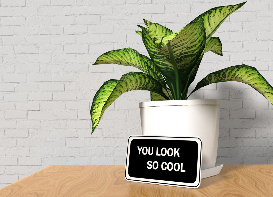 You Look So Cool | Funny sign For Home or Office