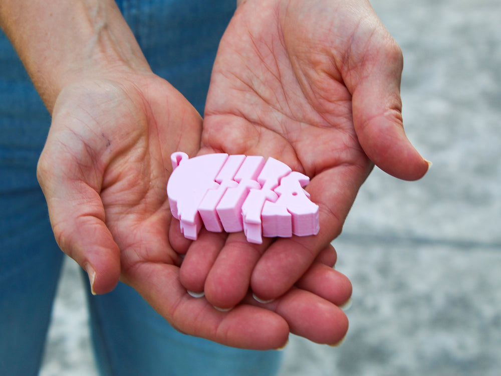 
  
  Fidget Pig – 3D Printed Stress Relief Toy
  
