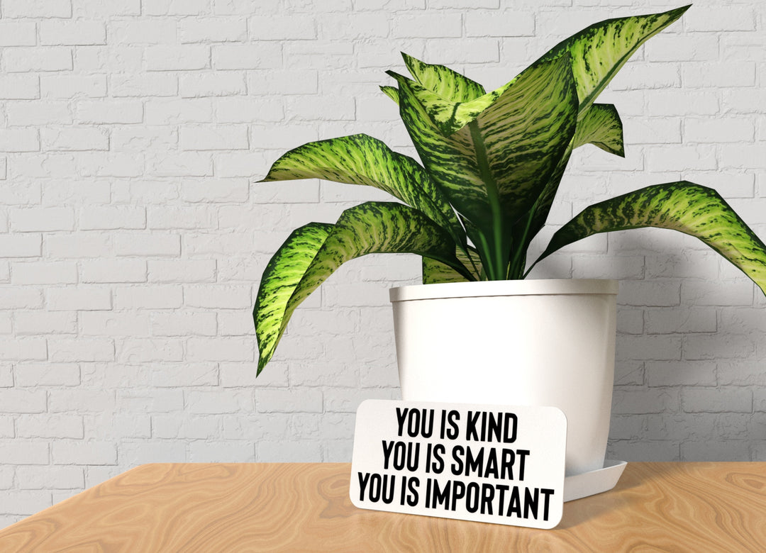 You Is Kind You Is Smart You Is Important | Funny Sign for Home or Office
