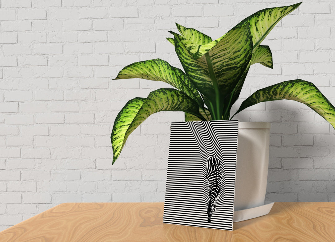 Zebra | Funny sign For Home or Office
