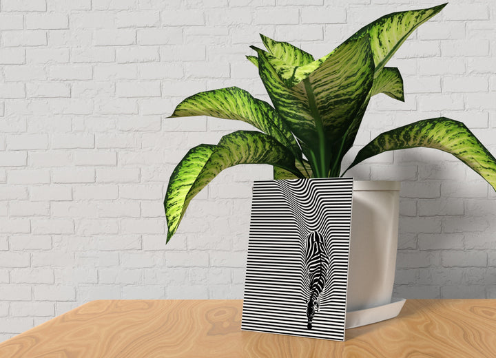 Zebra | Funny sign For Home or Office