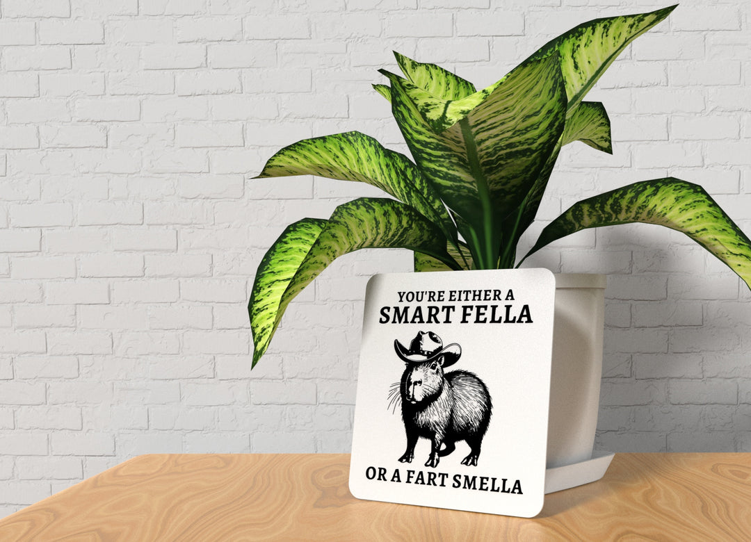 You're Either A Smart Fella Or A Fart Smella | Funny sign For Home or Office