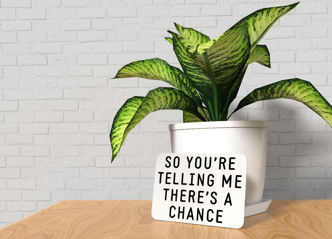 So You're Telling Me There's A Chance | Funny sign For Home or Office