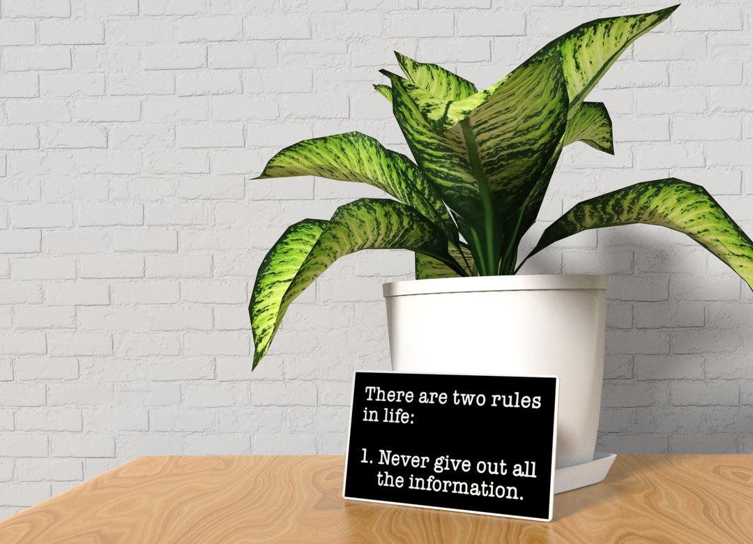 Never Give Out All The Information | Funny sign For Home or Office