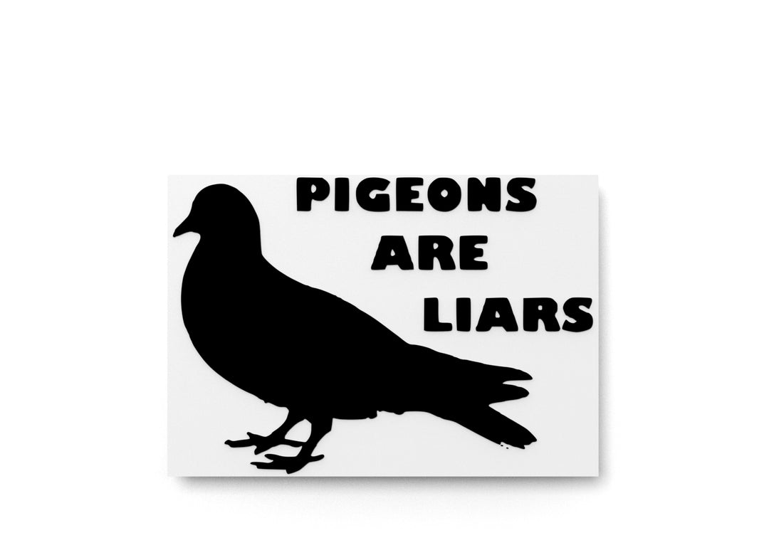 
  
  Pigeons Are Liars | Funny sign For Home or Office
  
