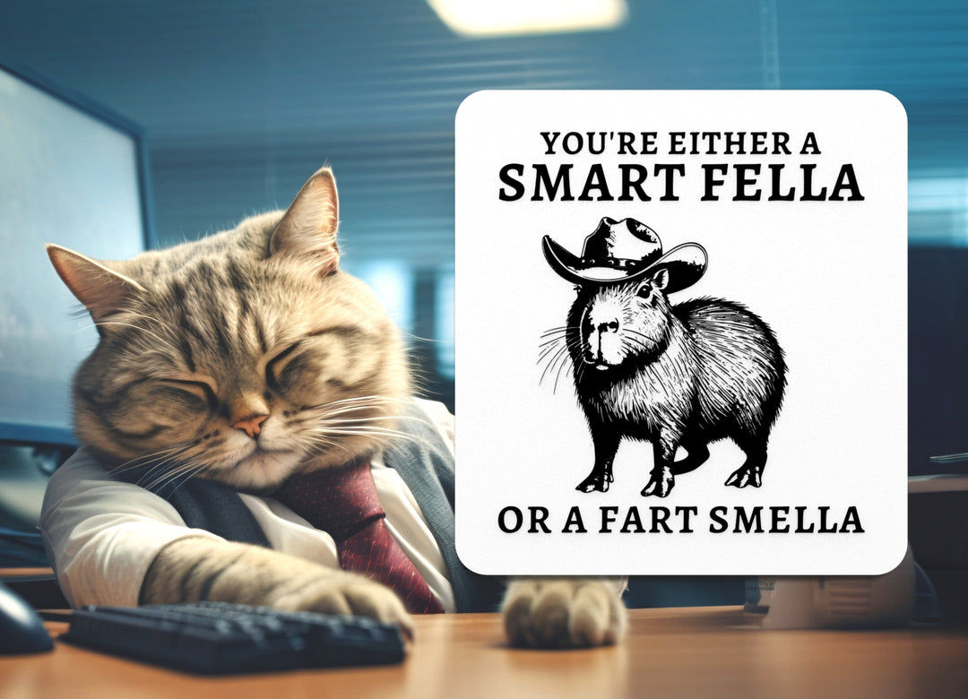 You're Either A Smart Fella Or A Fart Smella | Funny sign For Home or Office