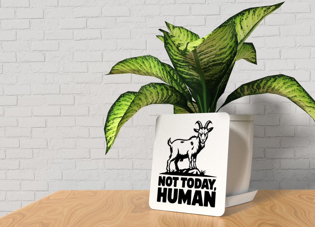 Not Today Human | Funny sign For Home or Office