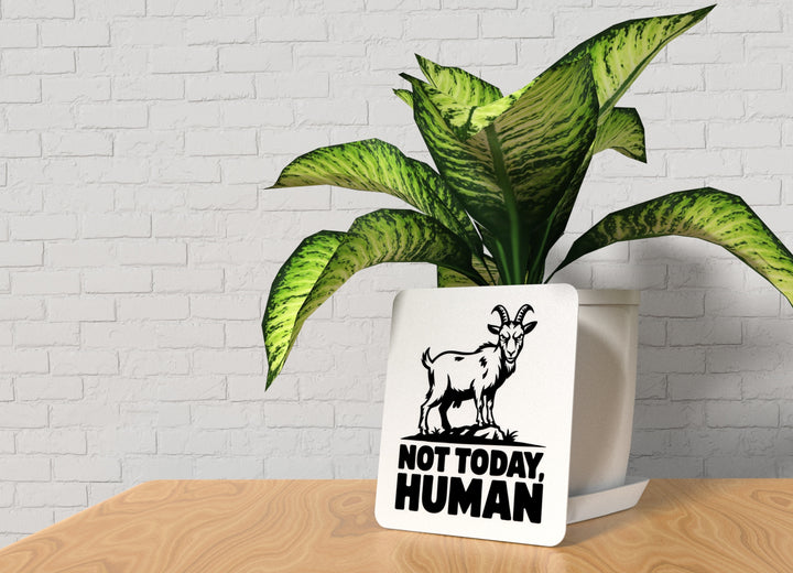 Not Today Human | Funny sign For Home or Office
