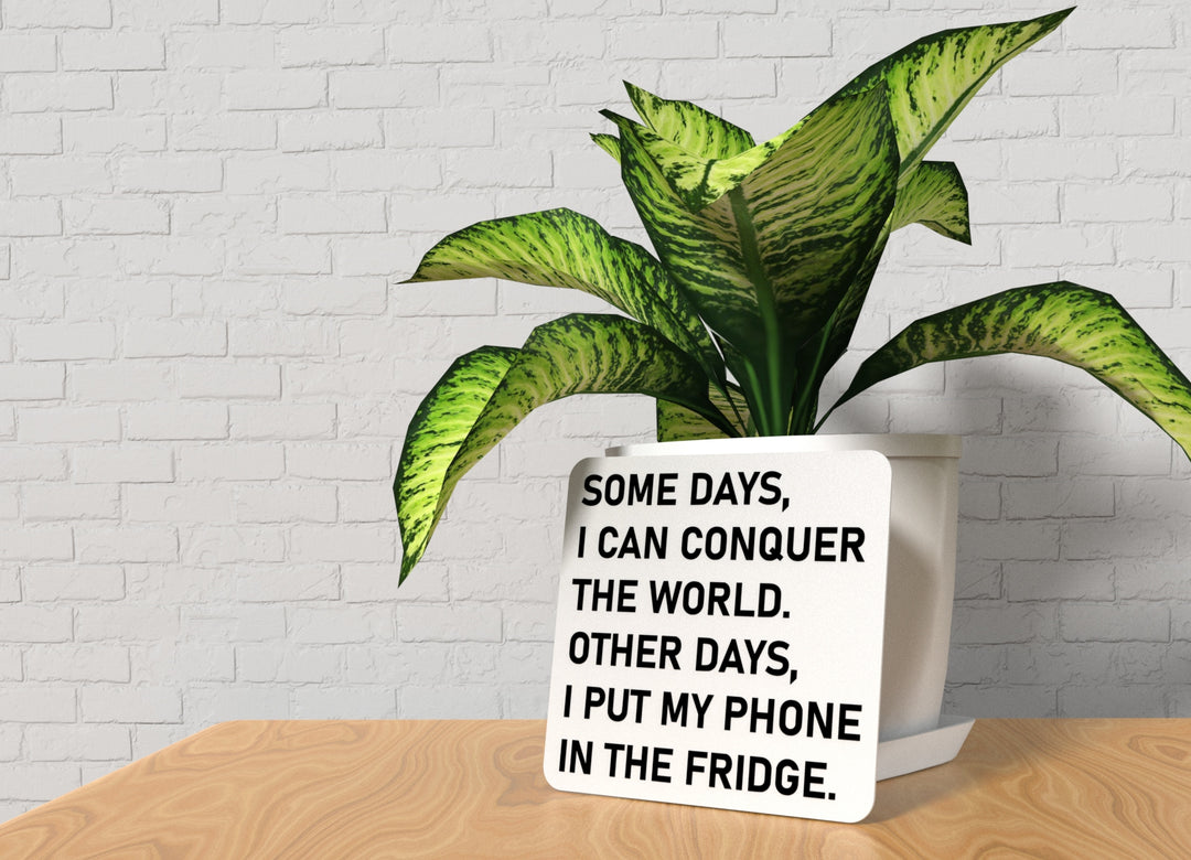 Some Days I Can Conquer The World Other Days I Put My Phone In The Fridge | Funny Sign for Home or Office