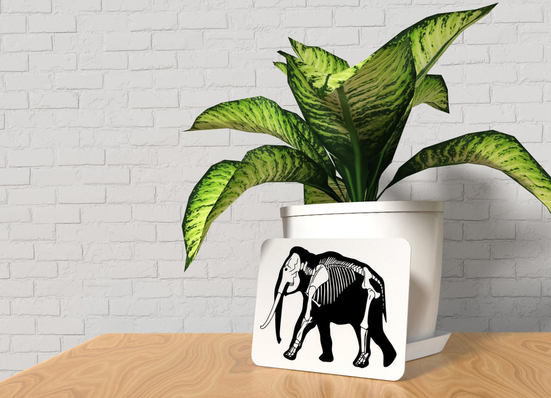 Elephant | Funny sign For Home or Office