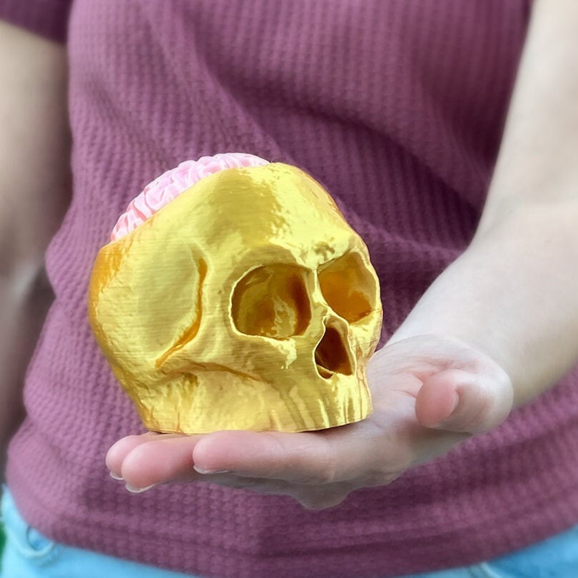 
  
  Skull with Removable Brain Lid Statue for Hiding Keys/candies
  
