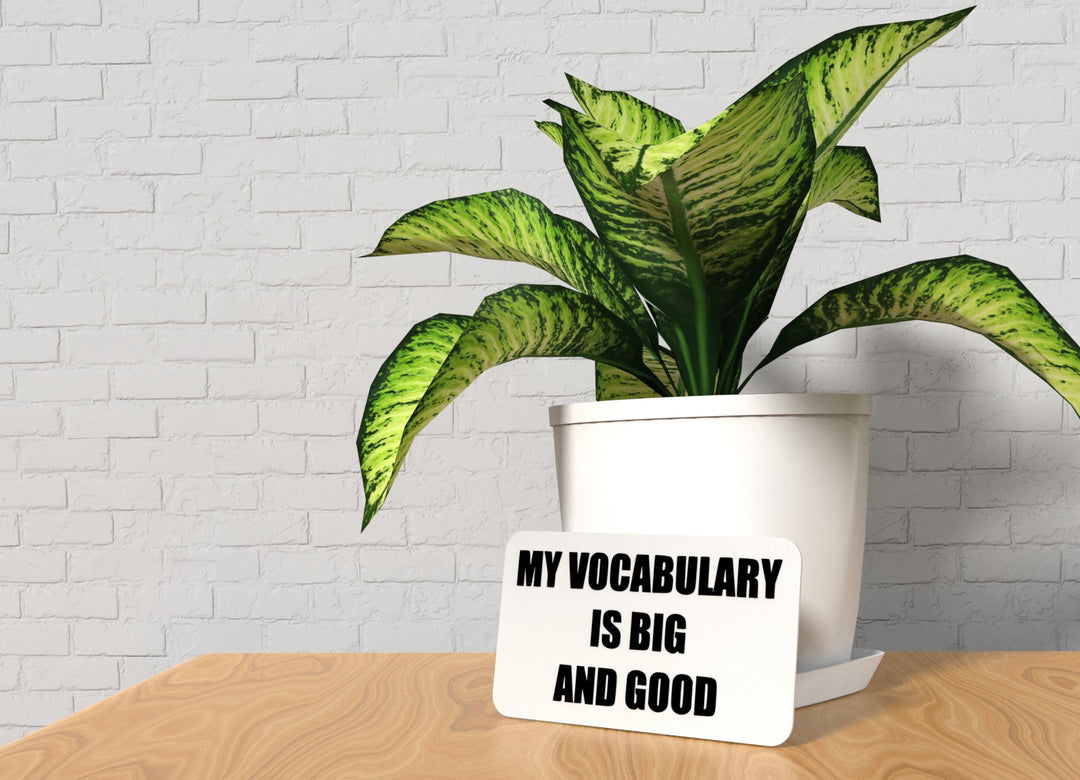 My Vocabulary Is Big And Good | Funny Sign for Home or Office