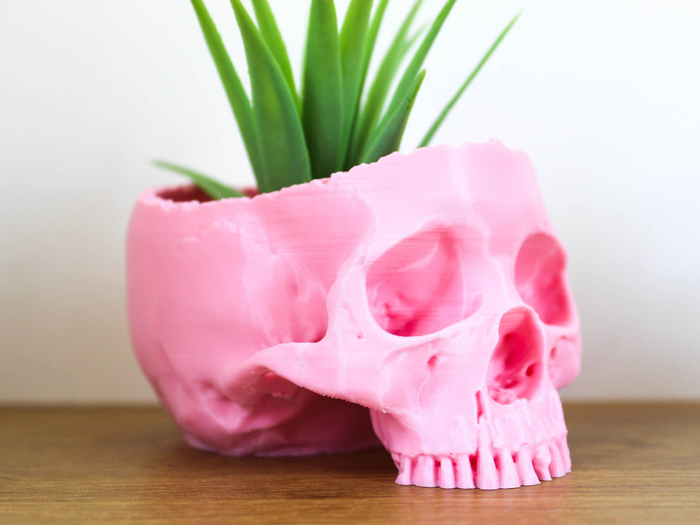 
  
  Real Looking Skull Succulent Planter | Macabre Elegance for Your Greenery
  
