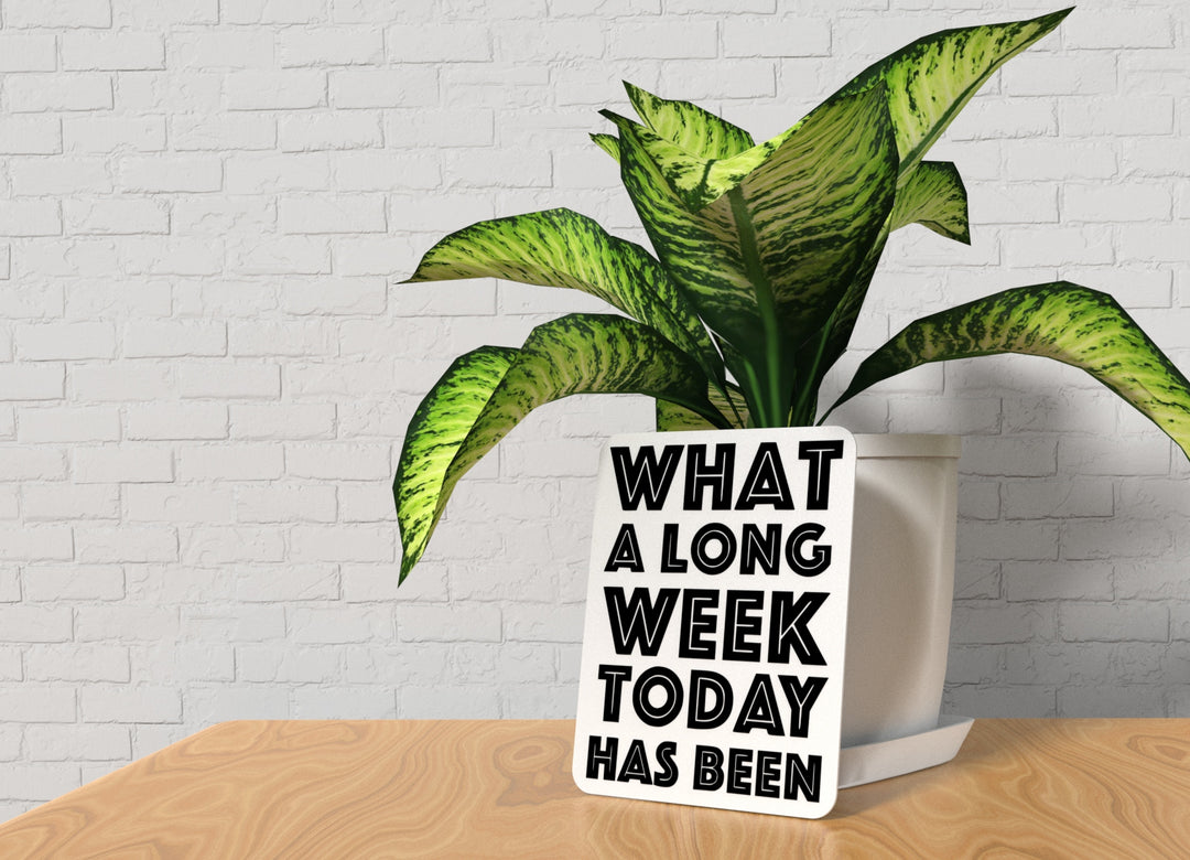 What A long Week Today Has Been | Funny Sign for Home or Office