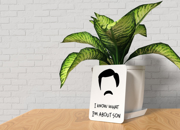 I Know What I'm About Son | Funny Sign for Home or Office