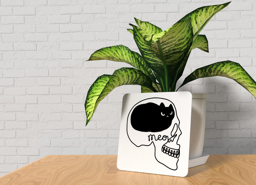 Angry Cat | Funny sign For Home or Office