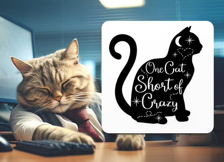 One Cat Short Of Crazy | Funny sign For Home or Office
