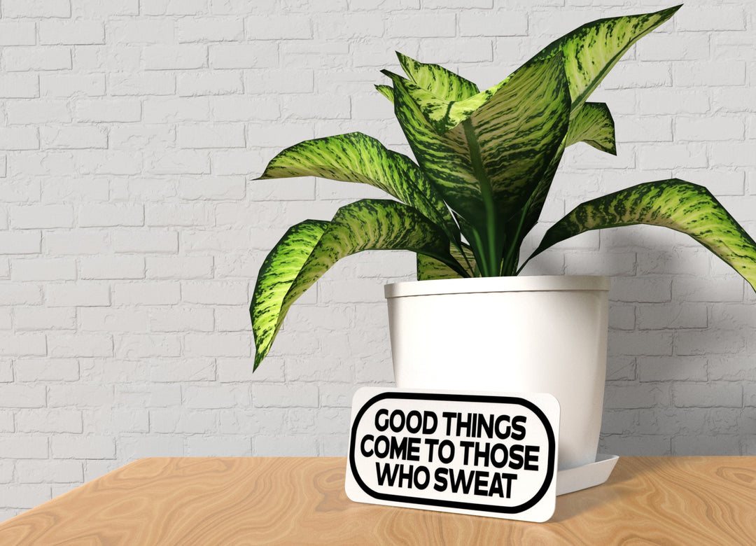 Good Things Come To Those Who Sweat | Funny sign For Home or Office