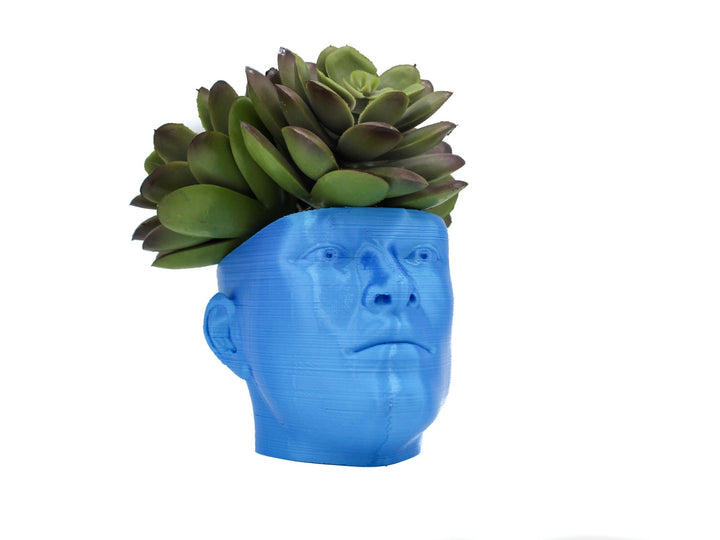 The "POT HEAD" Succulent Planter Vase | Plant your own Hairstyle