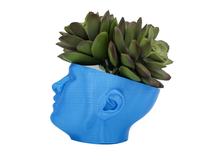 The "POT HEAD" Succulent Planter Vase | Plant your own Hairstyle