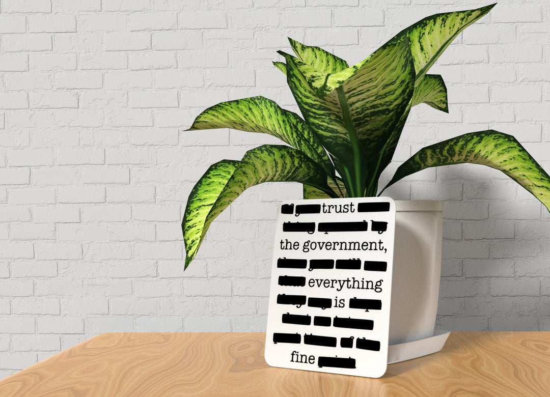 Trust The Government Everything Is Fine | Funny Sign for Home or Office