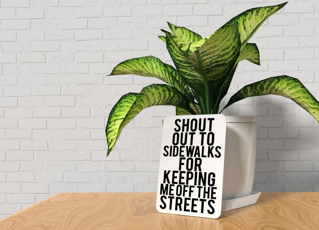 Shout Out To Sidewalks For Keeping Me Off The Streets | Funny Sign Home & Office