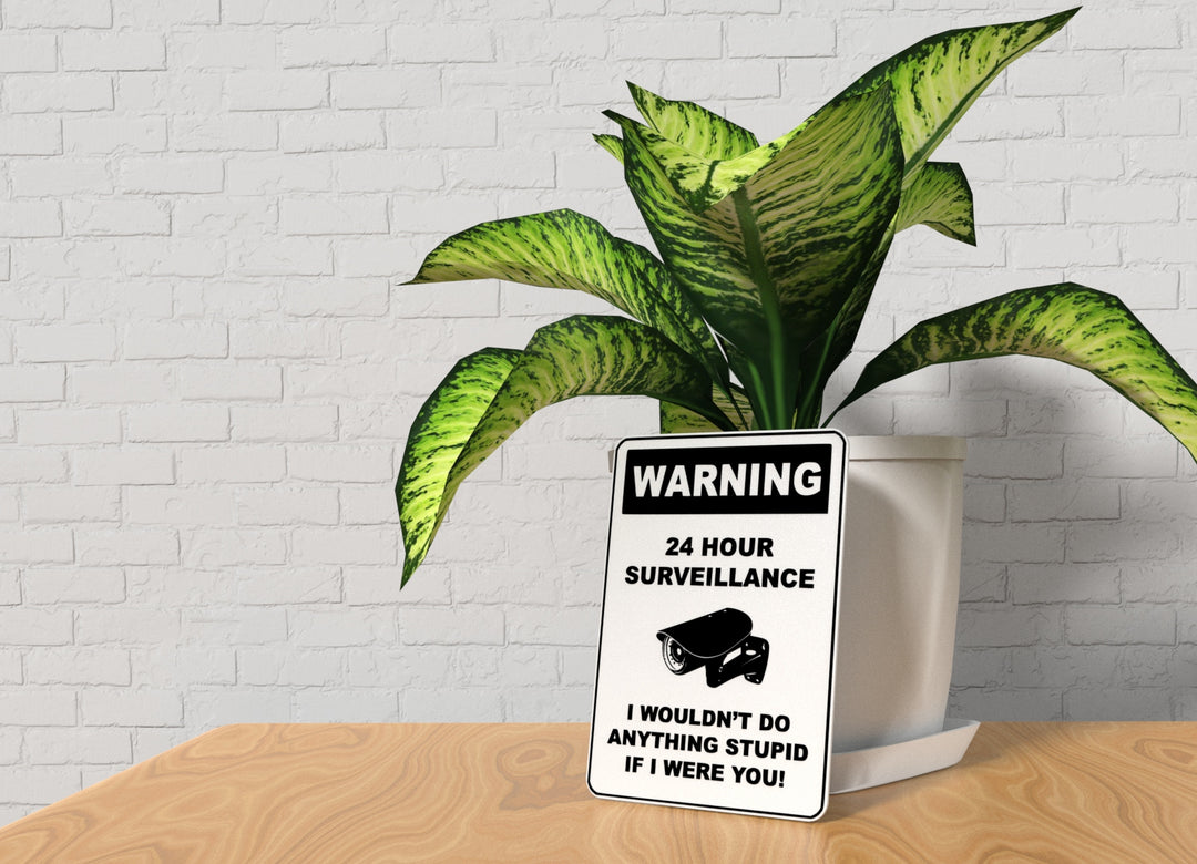Warning 24 Hours Surveillance If I Were you | Funny sign For Home or Office