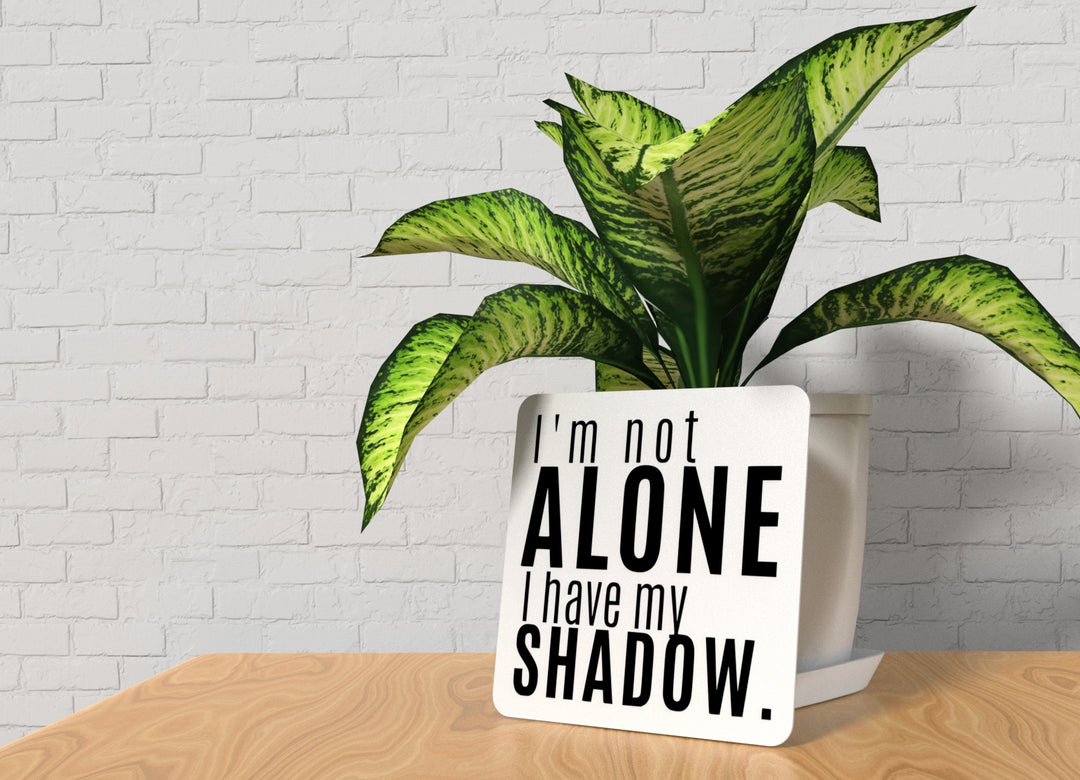 I'm Not Alone I Have My Shadow | Funny sign For Home or Office