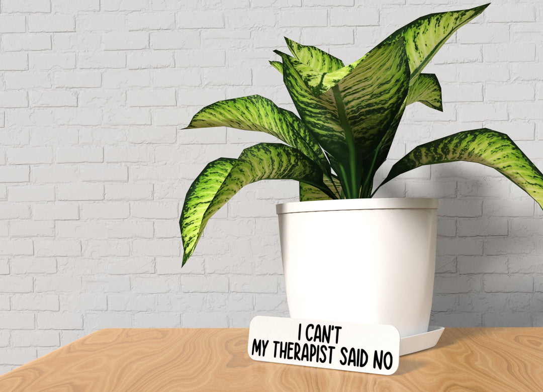 I Can't My Therapist Said No | Funny Sign for Home or Office