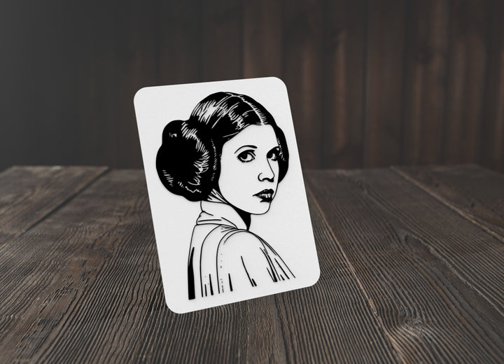Woman | Funny sign For Home or Office