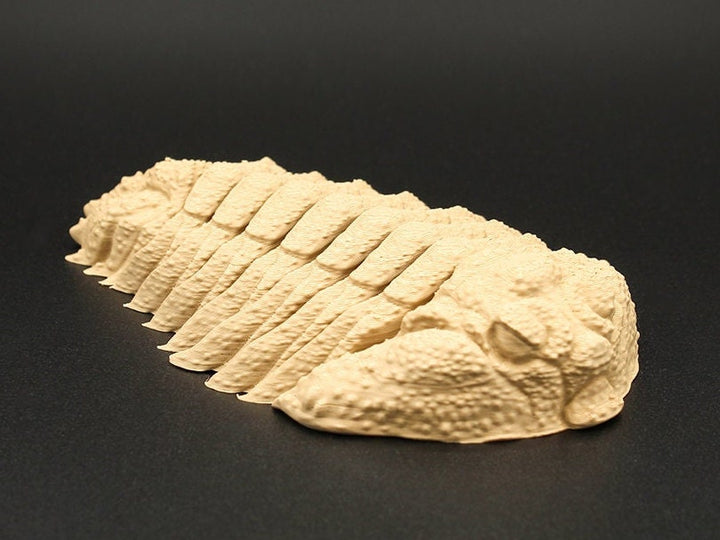 Friendly Fidget Trilobite | Extinct Marine Arthropods