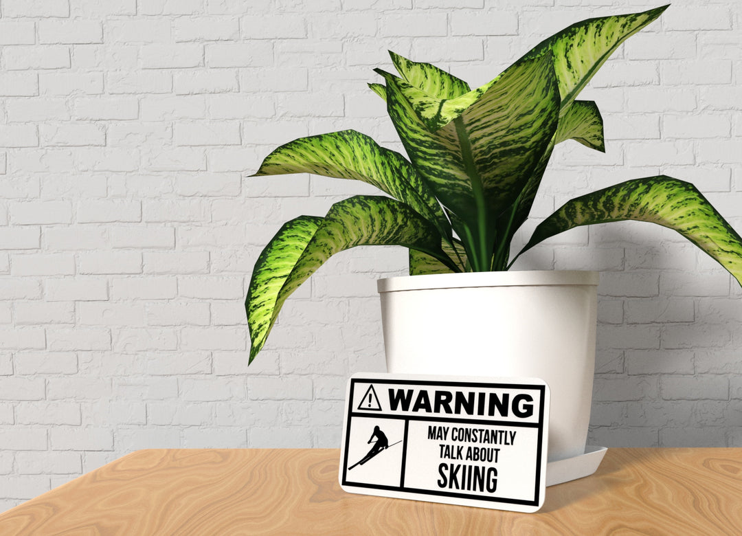 Warning May Constantly Talk About Skiing | Funny sign For Home or Office
