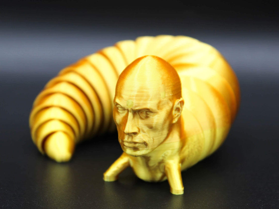 The Rook Slug The Rock Fidget Slug