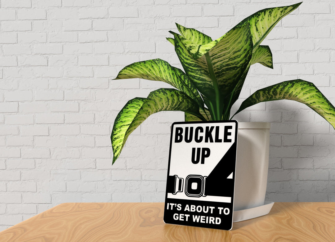 Buckle Up It's About To Get Weird | Funny Sign for Home or Office