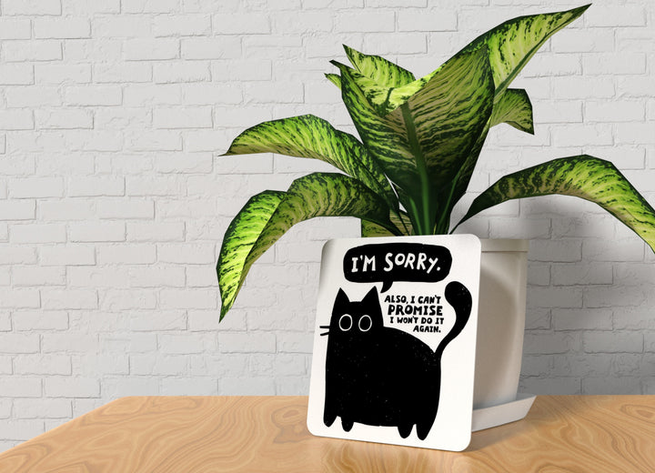 I'm Sorry Also I Can't Promise I Won't Do It Again | Funny Sign for Home or Office