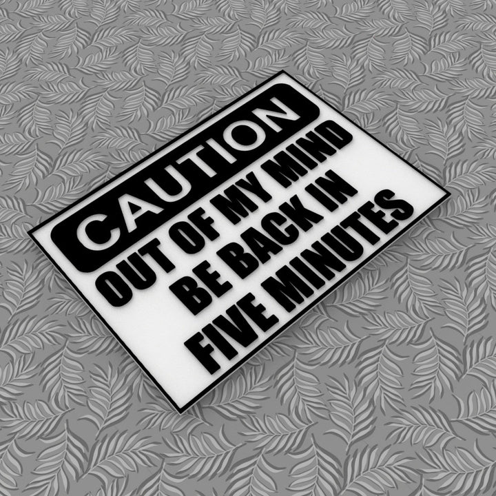 Funny Sign | Caution: Out of My Mind Be Back In Five Minutes