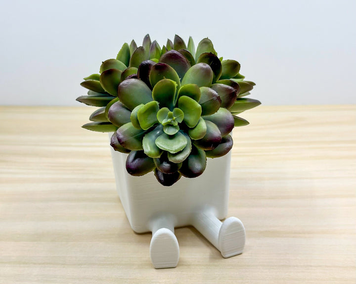 LEGGI Sitting the Succulent & Cactus Planter Pot