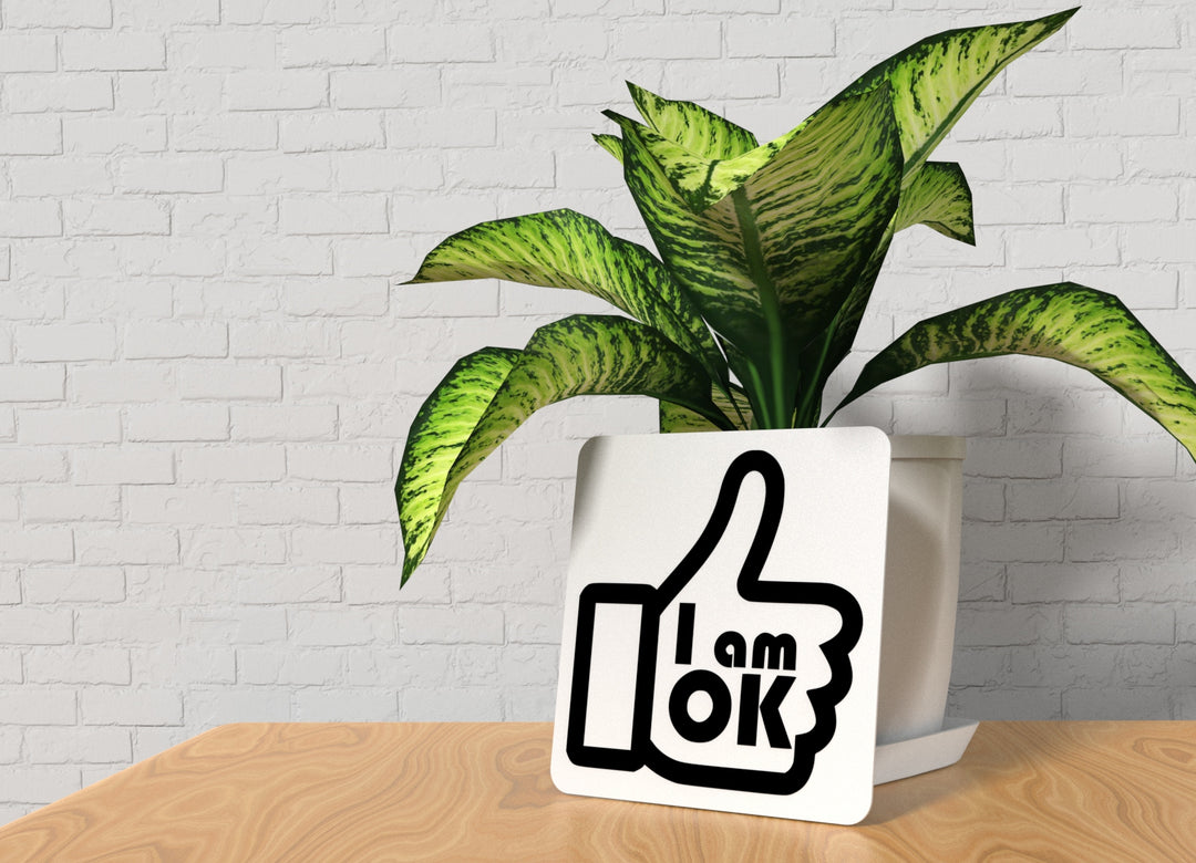 I Am Ok | Funny sign For Home or Office