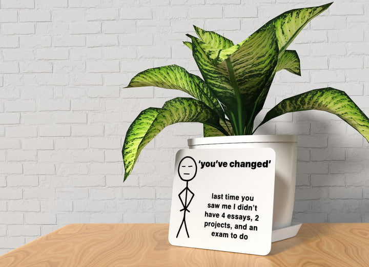 You've Changed Last Time You Saw Me | Funny Sign for Home or Office
