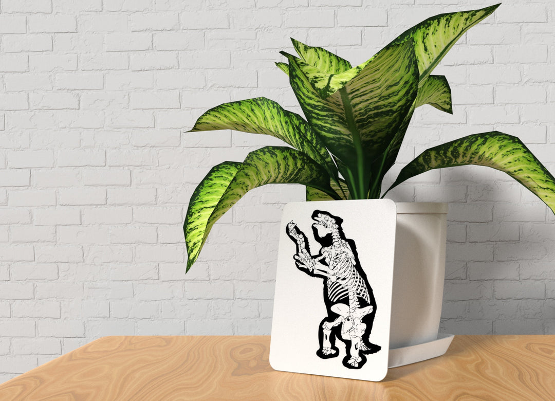 Dinasaur | Funny sign For Home or Office