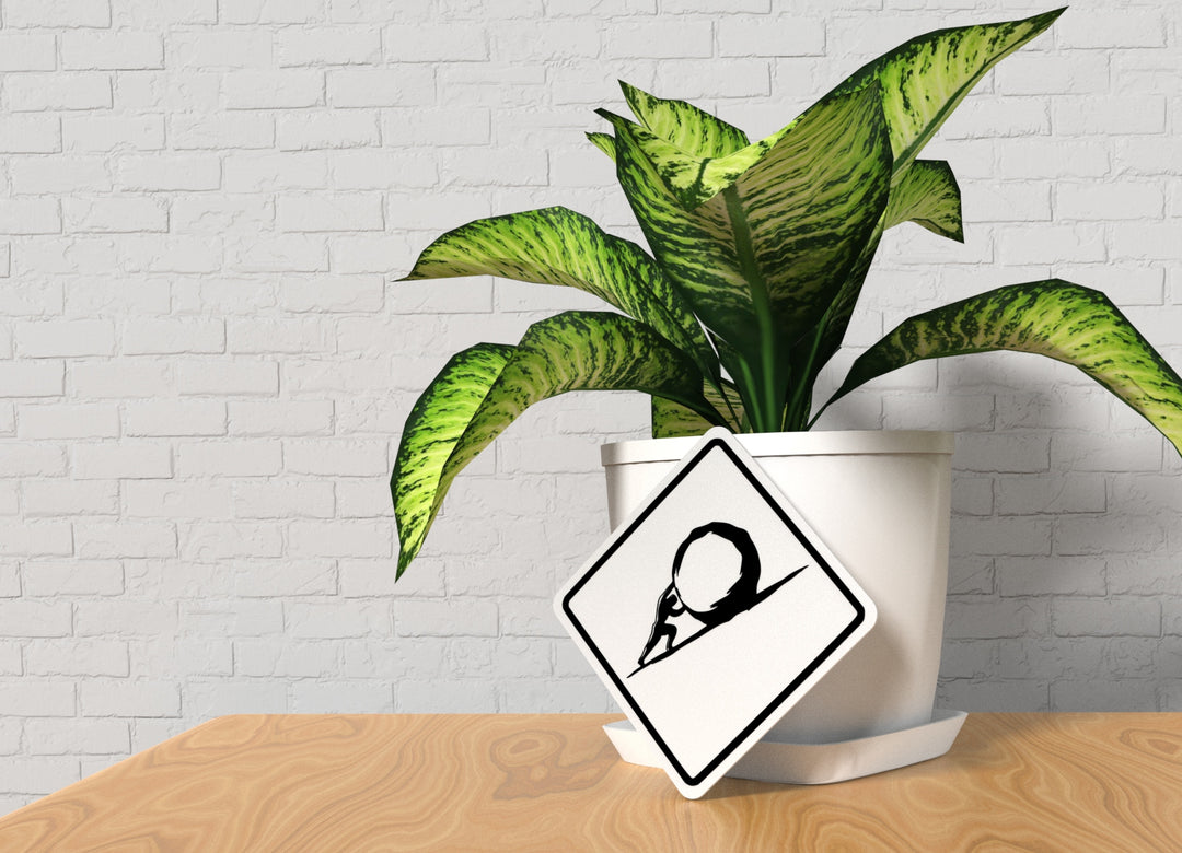 Rock | Funny sign For Home or Office