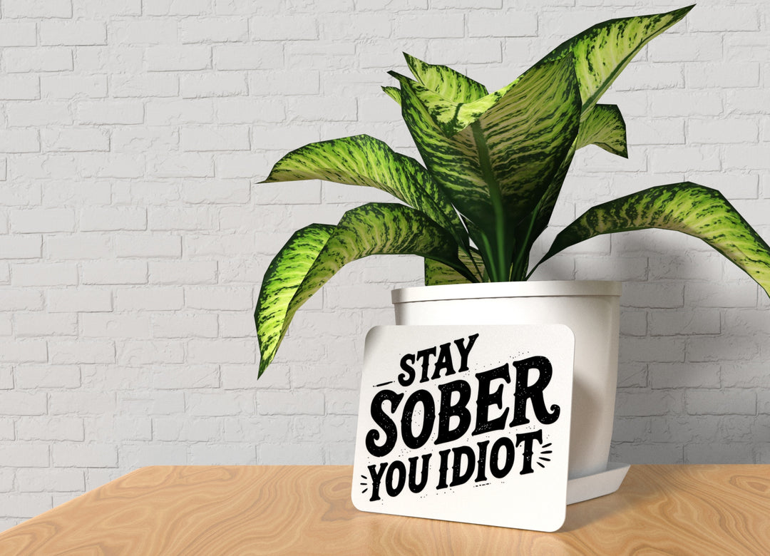 Stay Sober You Idiot | Funny Sign for Home or Office