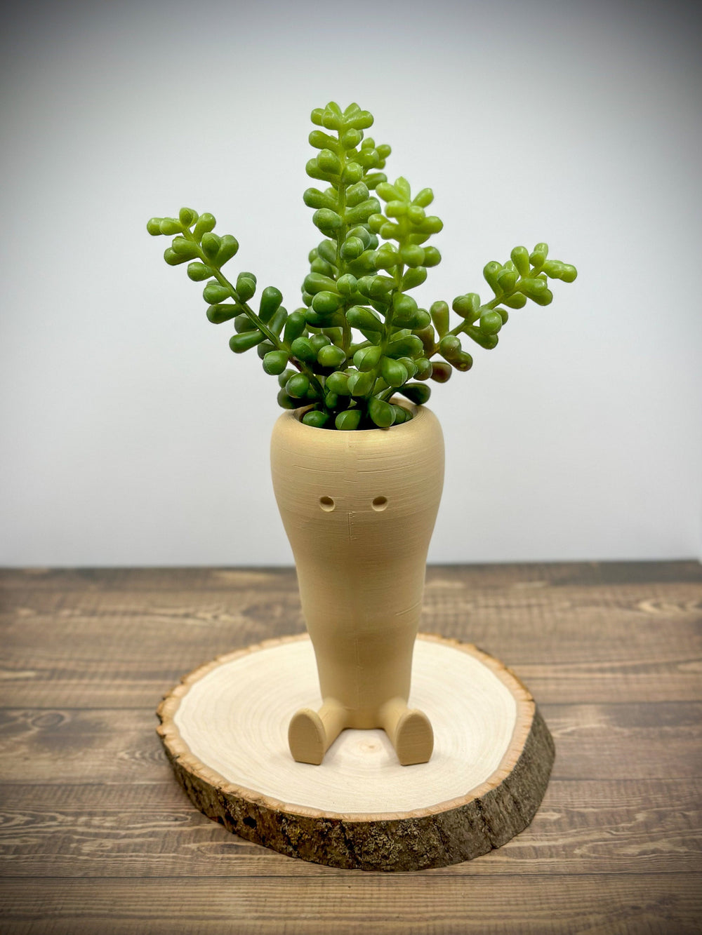 
  
  Carrot Succulent & Cactus Planter Pot
  

