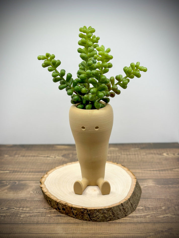 Carrot Succulent & Cactus Planter Pot