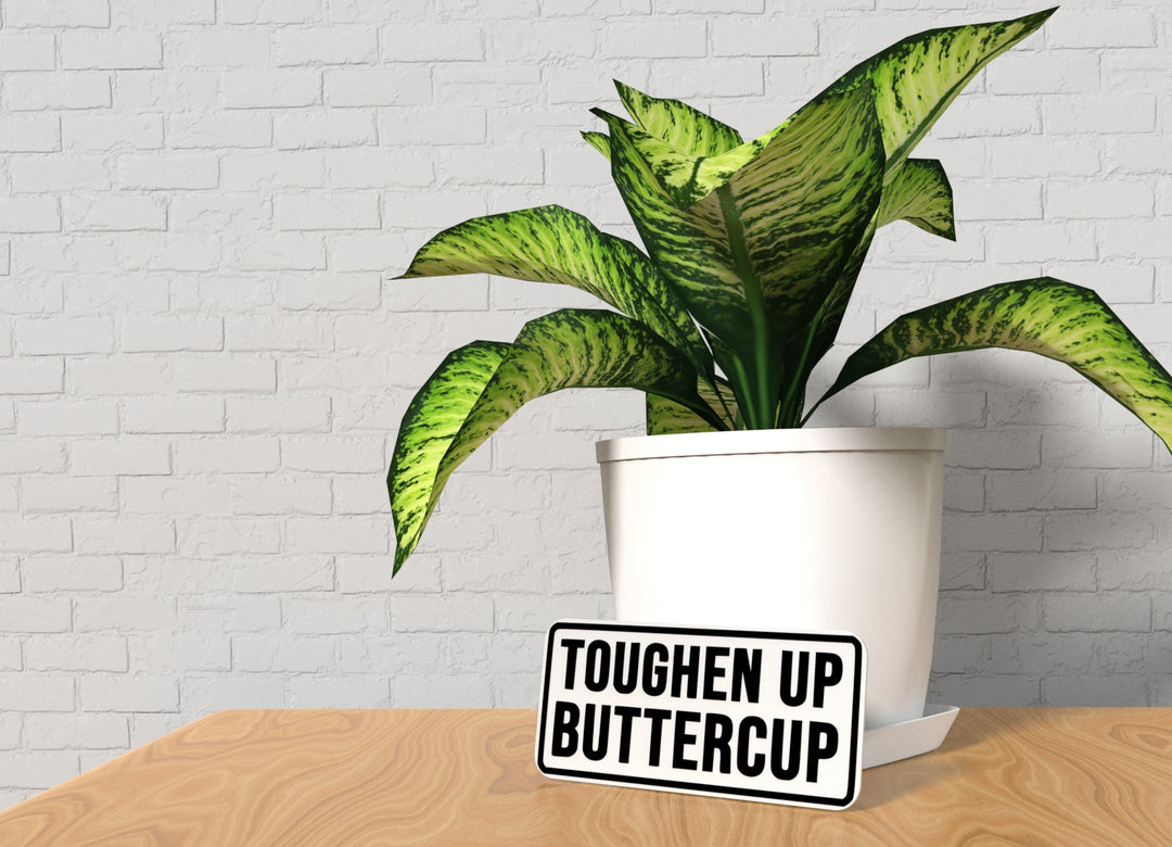 Toughen Up Buttercup | Funny sign For Home or Office