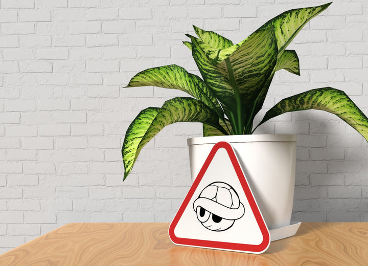 Turtle | Funny sign For Home or Office