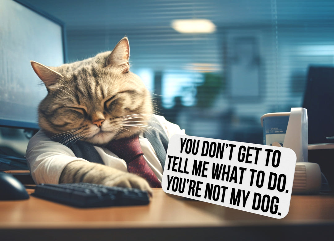 You Don't Get To tell Me What To Do | Funny sign For Home or Office