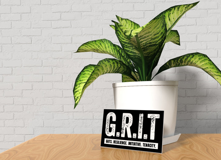 Grit Guts Resilience Initiative Tenacity | Funny Sign for Home or Office