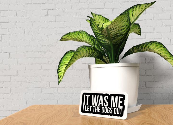 It Was Me I let The Dogs Out | Funny Sign for Home or Office
