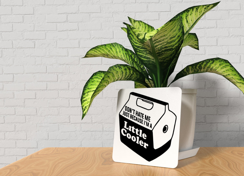 
  
  Little Cooler | Funny Sign for Kids’ Room, Fridge, or Chill Spaces
  
